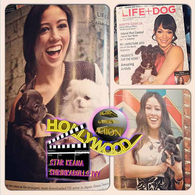 Star KEANA in LIFE DOG MAGAZINE with SHRINKABULL'S IVY, now in Barnes and Nobles Bookstores
