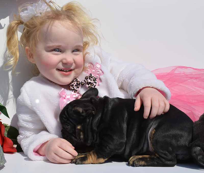 Smiling girl with Black and Tan French Bulldog