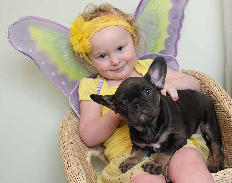 Fairy girl with Black and tan Tri French Bulldog