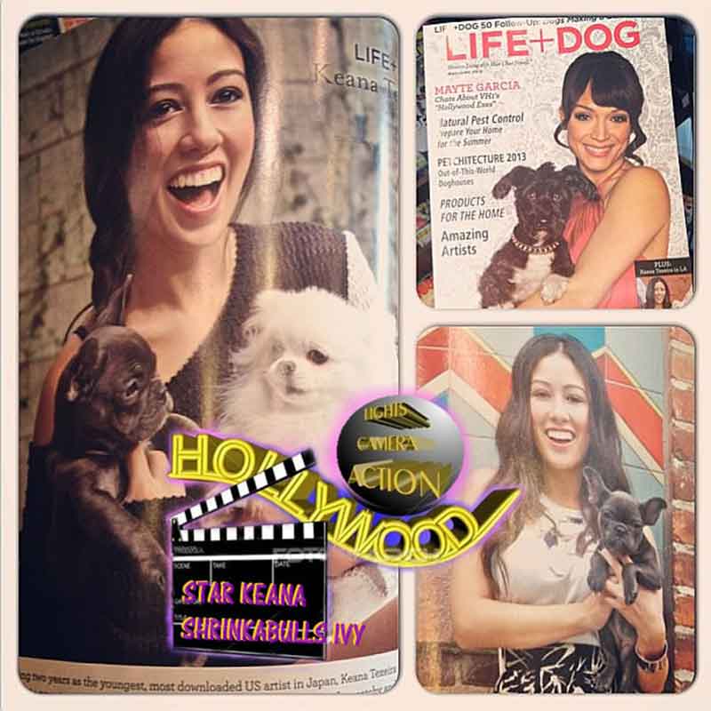 Star Keana with Shrinkabulls Blue Ivy in photoshoot for LIFE+DOG Magazine