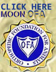 Shrinkabulls Moon Orthopedic Foundation for Animals (OFA) button