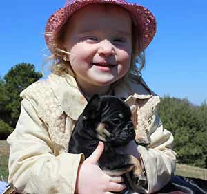 Girl with French bulldog puppy