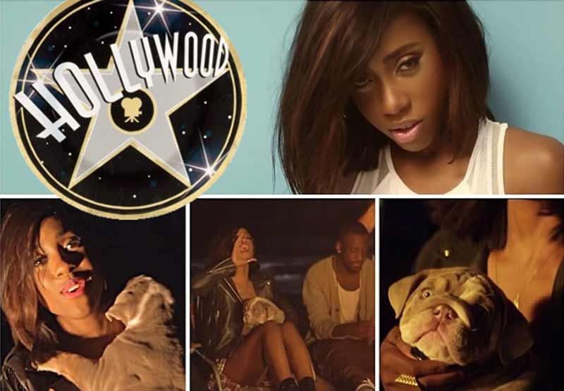Shrinkabulls JAX in Sevyn Streeter's "It Won't Stop" music video featuring Chris Brown