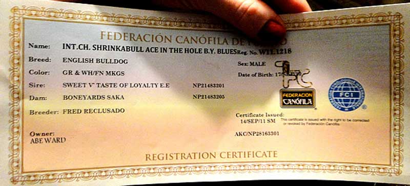 Federacion Canofila Dog Registration Certificate