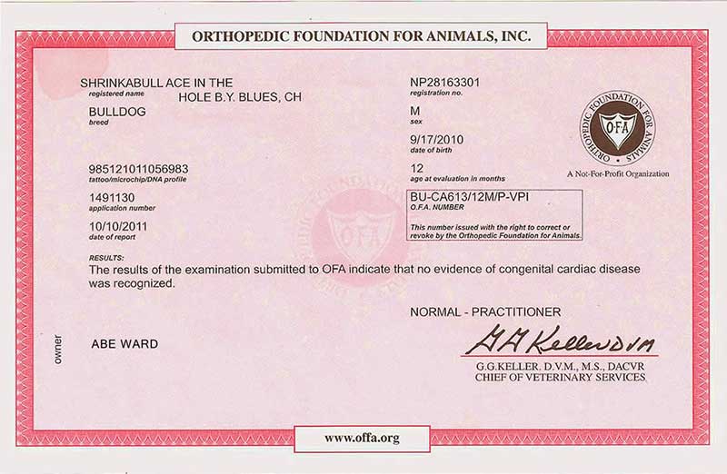 Orthopedic Foundation for Animals Certificate