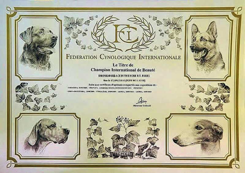 FCI Certificate Award