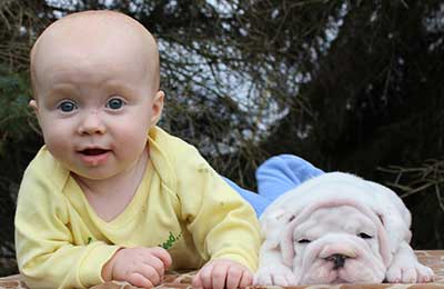 baby boy with bulldog puppy