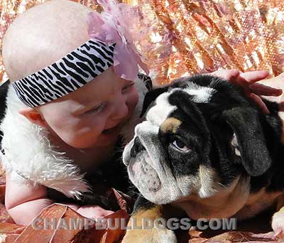 baby kissing bulldog puppy naming