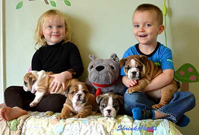 boy and girl with bulldog puppies naming