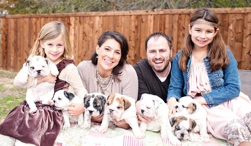 beautiful family with cute bulldog puppies