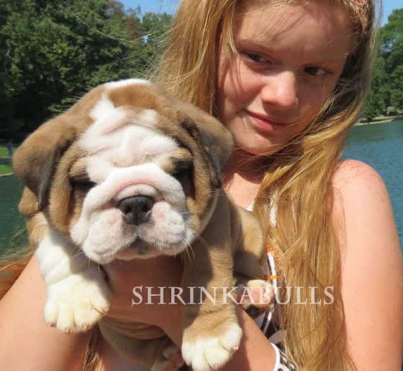 teen with white and brindle bulldog puppy by lake