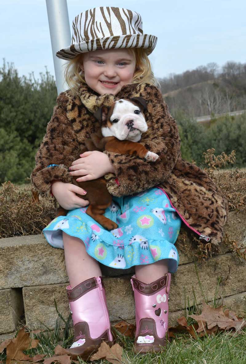 smiling girl with white and chocolate bulldog puppy