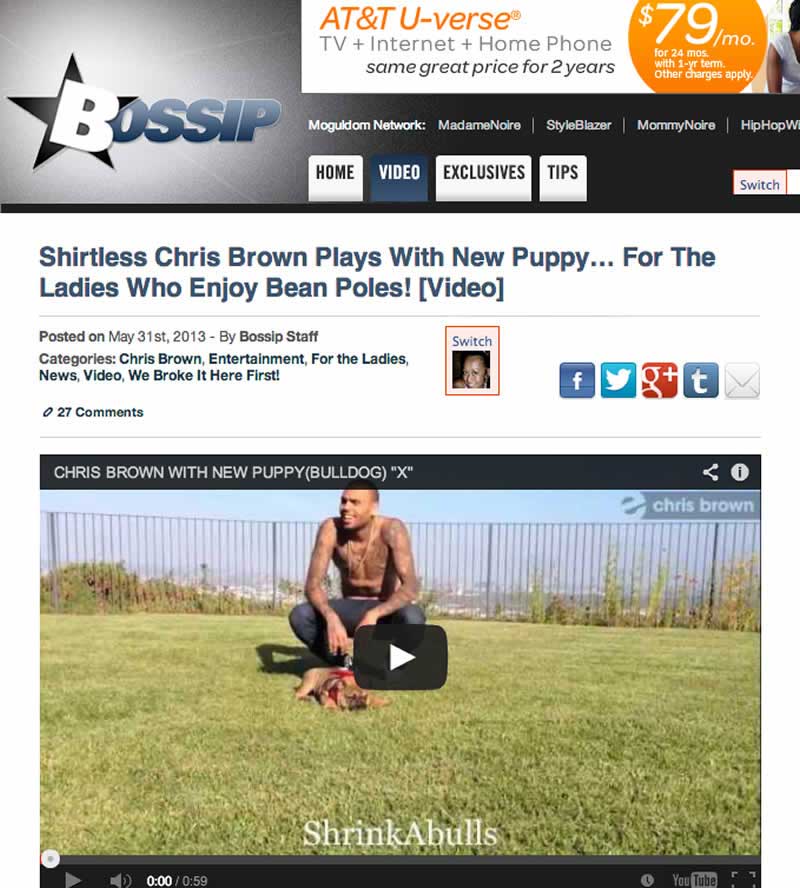 Chris Brown plays with new Shrinkabulls english bulldog puppy