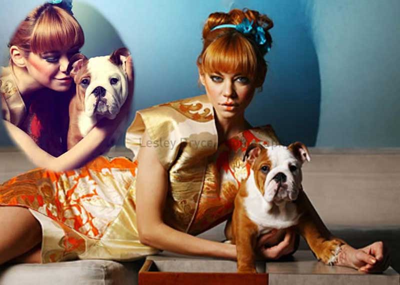 Analeigh Tipton with Shrinkabulls english bulldog puppy