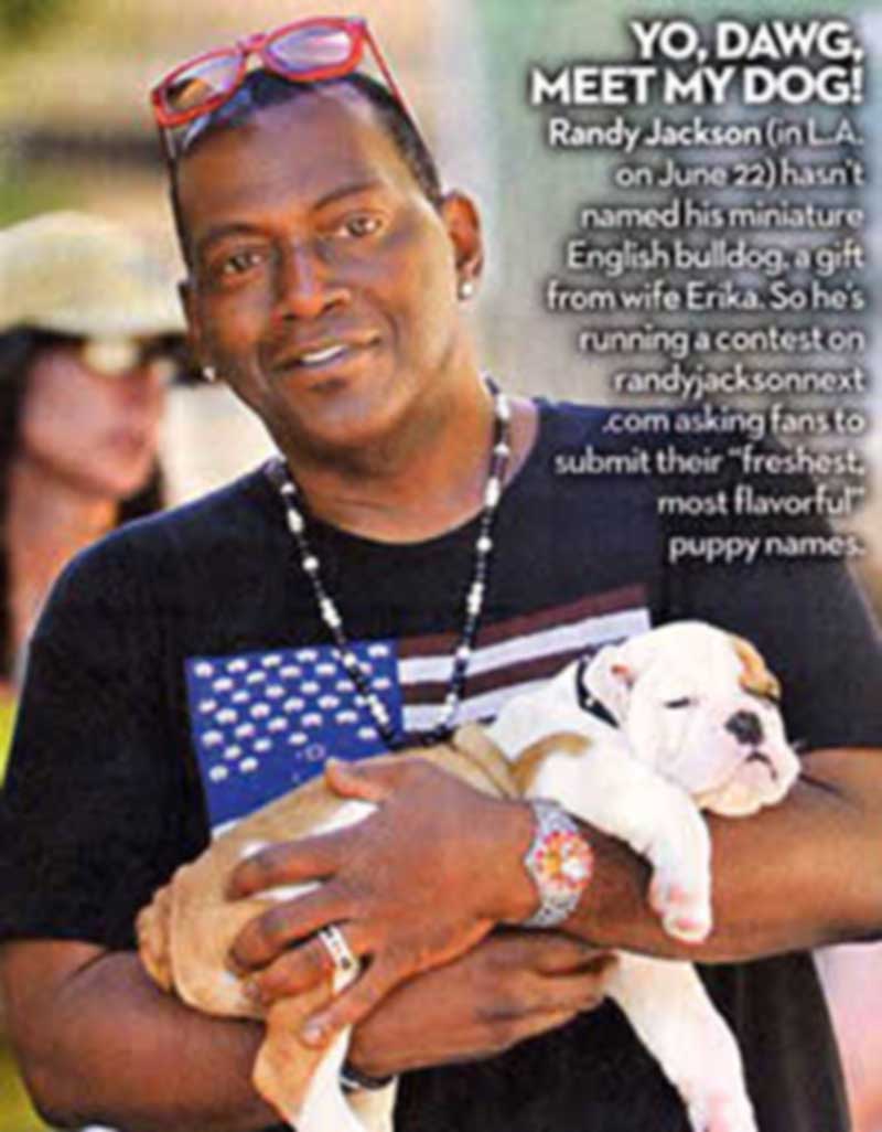 Randy Jackson with new bulldog puppy