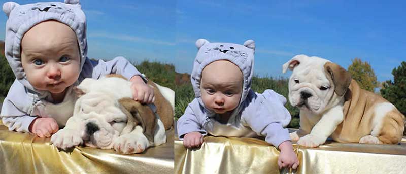 baby with bulldog puppy outside